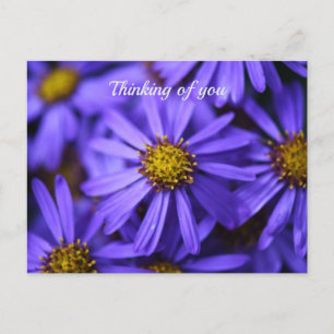 Violette Asterblumen im RHS Garden Wisley Thinking Postkarte