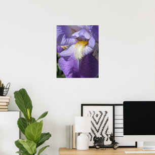 Violette Bartirisblüte Poster