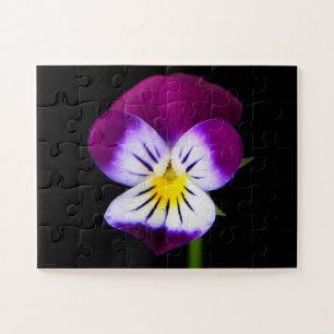 Violette Blume 11x14 30pc jpcnm Puzzle