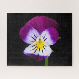 Violette Blume 16x20 520pc jpcnm Puzzle