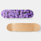 Violette Blume - Frühjahr Skateboard (Horizontal)