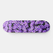 Violette Blume - Frühjahr Skateboard (Horizontal)