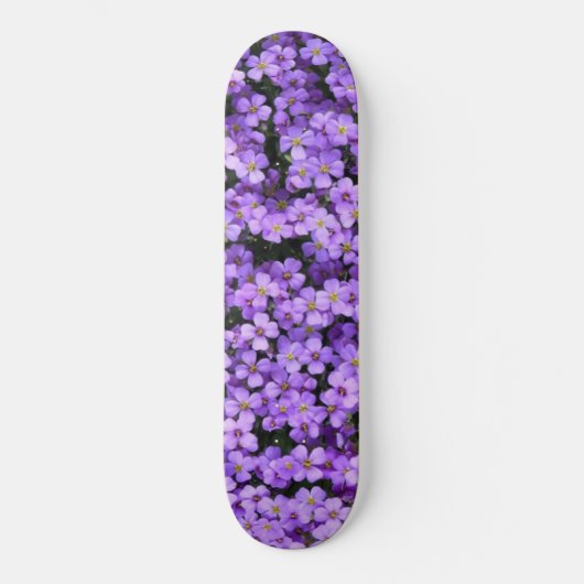 Violette Blume - Frühjahr Skateboard (Vorderseite)