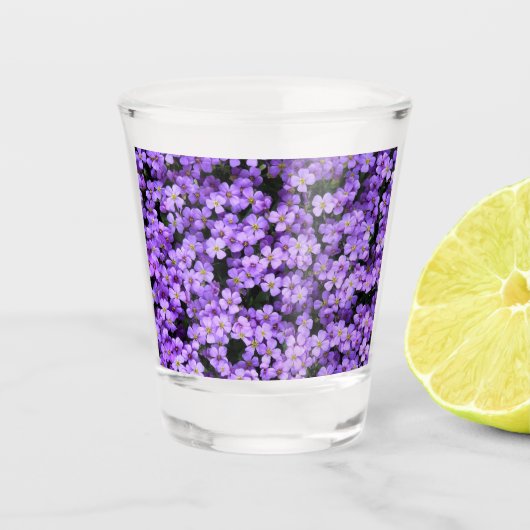 Violette Blume Glasgewebe Schnapsglas (Vorderseite)