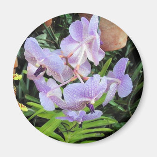 violette Blume Magnet
