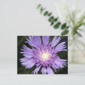 Violette Blume Postkarte (Stehend Vorderseite)