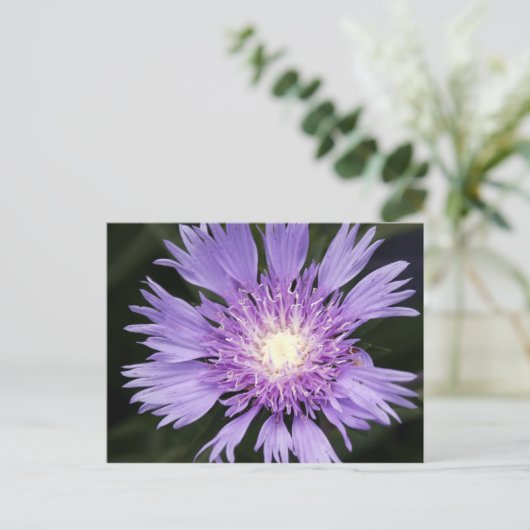 Violette Blume Postkarte (Stehend Vorderseite)