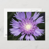Violette Blume Postkarte (Vorne/Hinten)