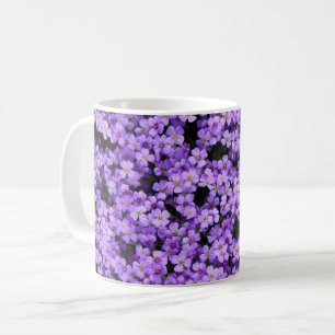 Violette Blume Tasse Violetten Frühling