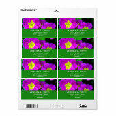 violette Blumen (Vorne)