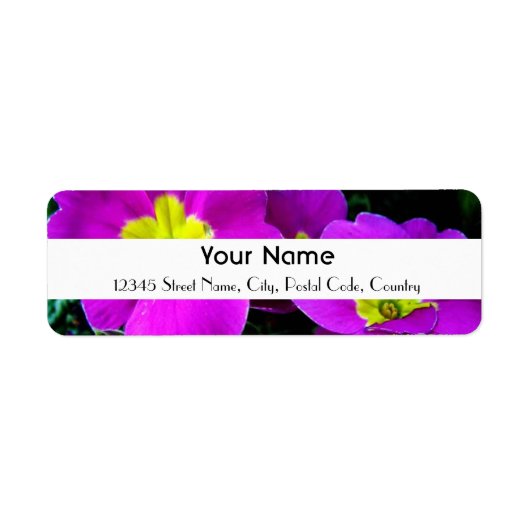 violette Blumen (Vorne)