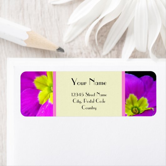 violette Blumen (Insitu)