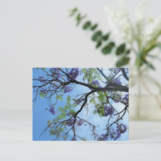 Violette Blumen auf Baumzweigen Postkarte (Stehend Vorderseite)