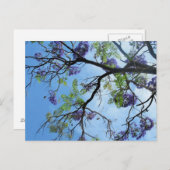 Violette Blumen auf Baumzweigen Postkarte (Vorne/Hinten)