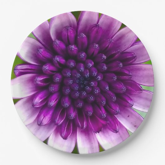 Violette Blumen für Ihren Tag Pappteller (Vorderseite)
