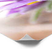 Violette Blumen in der Sonne Poster (Ecke)