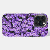 Violette Blumen iPhone-Hülle Veilchen Frühling iPhone Hülle (Rückseite (Horizontal))