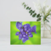 violette Blumen Postkarte (Stehend Vorderseite)
