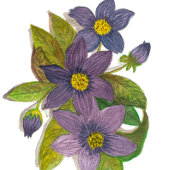 violette Blumen Zweifarbige Tasse