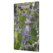 Violette Blumenbeete Garten Fotografie Klemmbrett (Links)