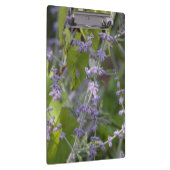 Violette Blumenbeete Garten Fotografie Klemmbrett (Rechts)