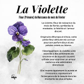 Violette Blüte des Februar Poster