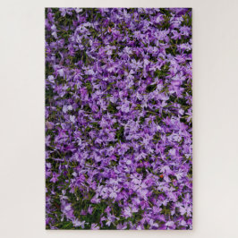 Violette Blüten im Aufbruch – 1014 Teile Lila Phlo Puzzle