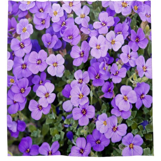 Violette Duschvorhang (Vorderseite)