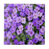 Violette Fliese (Vorderseite)