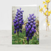 Violette Frühlingsblumen Karte (Gelbe Blume)