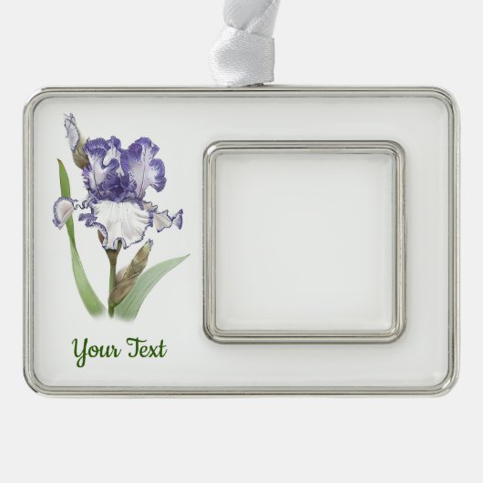 Violette gekrauste Iris Rahmen-Ornament Silber (Vorderseite)