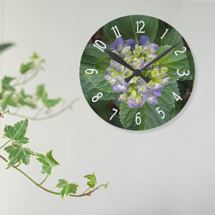 Violette Hortensie Grün Gelb Runde Wanduhr