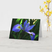 Violette Iris Karte (Gelbe Blume)