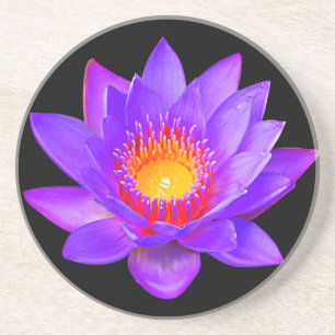 Violette Lotusblume auf Schwarz Getränkeuntersetzer