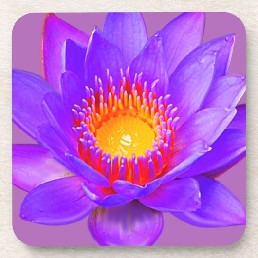Violette Lotusblume Getränkeuntersetzer (Vorderseite)