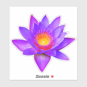 Violette Lotusblumen-Aufkleber Aufkleber