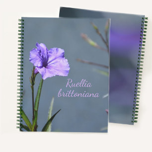 Violette Mexikanische Petunie Blumig Anpassbar Notizblock