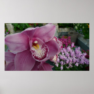 Violette Orchidee und farbenfrohe botanische Garte Poster