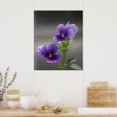 Violette Poster (Küche)