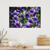 Violette Poster (Küche)