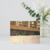 Violette Postkarte (Stehend Vorderseite)