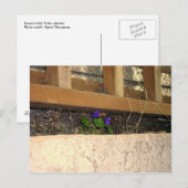 Violette Postkarte (Vorne/Hinten)