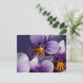 Violette Postkarte (Stehend Vorderseite)