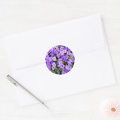 Violette Runder Aufkleber (Umschlag)