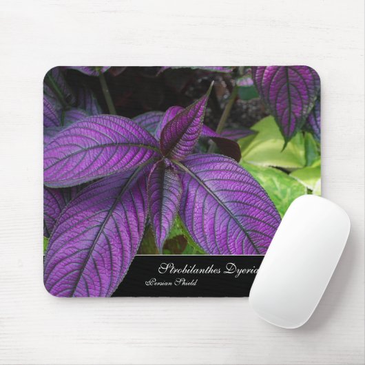 Violette Schönheit Mousepad (Mit Mouse)