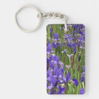 Violette Schwertlilien-Blumen Natur Pflanzen Fotog