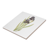 Violette Schwertlilienblumen Fliese (Seite)