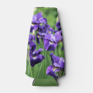 Violette sibirische Iris, Caesars Bruder Flaschenkühler