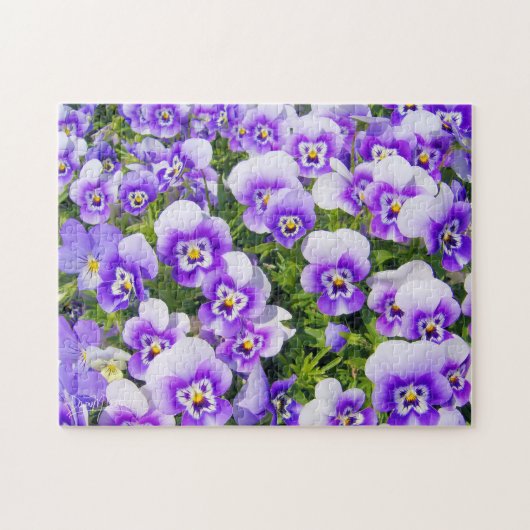 Violette Stiefmütterchen Puzzle (Horizontal)