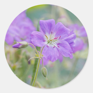 Violette Storchschnabel-Wildblumen-Dreamy-Naturfot Runder Aufkleber